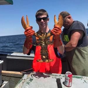 Meet your Posher, Riley